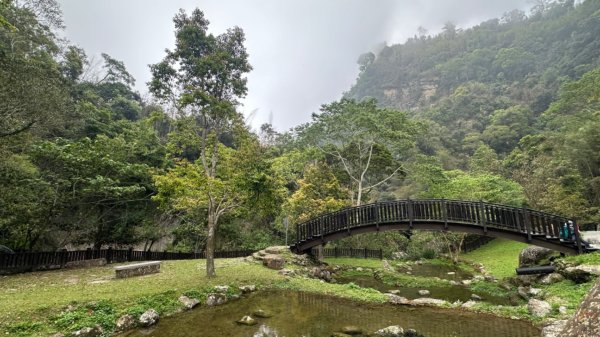 雲嘉連峰/青年嶺/水社寮2750459
