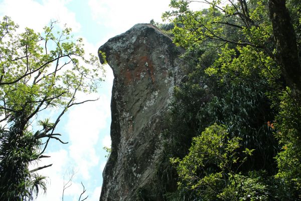 106.08.27皇帝殿東北峰石霸尖鳥嘴189778