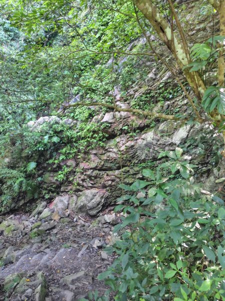 唐麻丹山 蝴蝶谷2918973