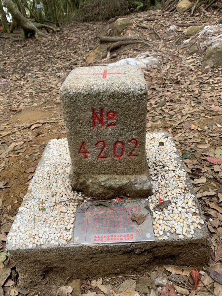 20260501南投嶺頭山-金柑樹山3052897