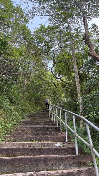 941（旗尾山2905651