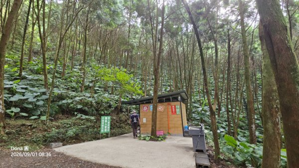 宜蘭燈篙林道.肖楠步道.雙月湖O走3114601