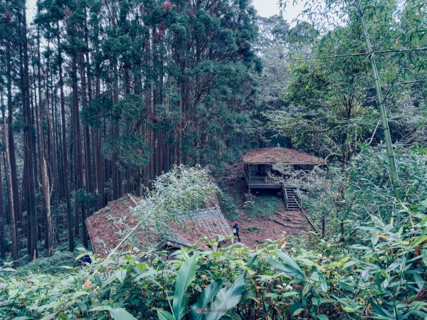 小百岳大凍山2775066