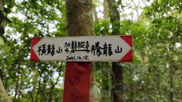 2025/6/14 橫龍山2839246