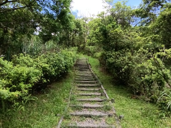 坪林區司公髻尾山+虎寮潭吊橋+粗石斛吊橋+大舌湖步道+漁光派出所2794283