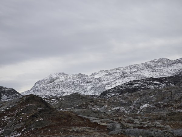 [紐約馬之行-45] 2025_1108 努克環狀步道 2/52951187