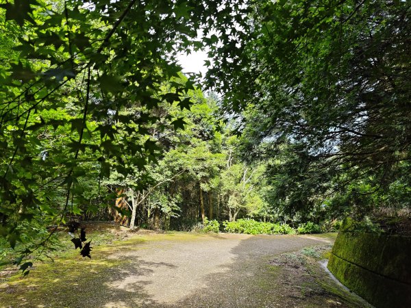 2025_0601 赫威山2802275