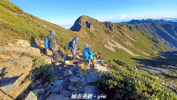 【台中和平】山迢路遠換壯闊山景。 No75百岳雪山東峰xNo2百岳雪山主峰 (兩天兩夜)2347679
