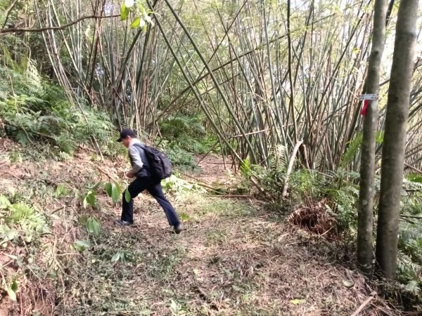 基隆市三層山+湳子大崙+淡基橫斷古道+面桶寮土地公2982228