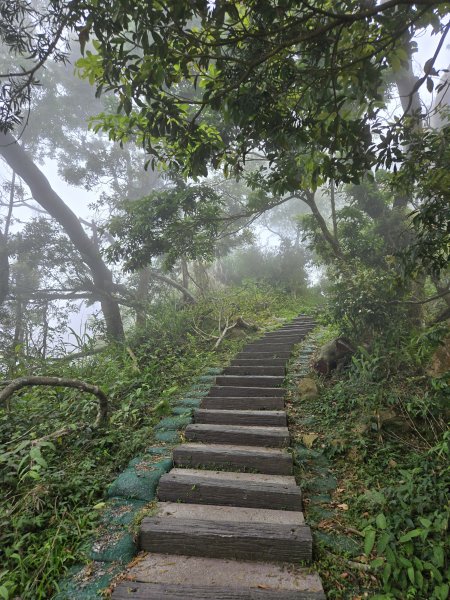 雲嘉大尖山2871288