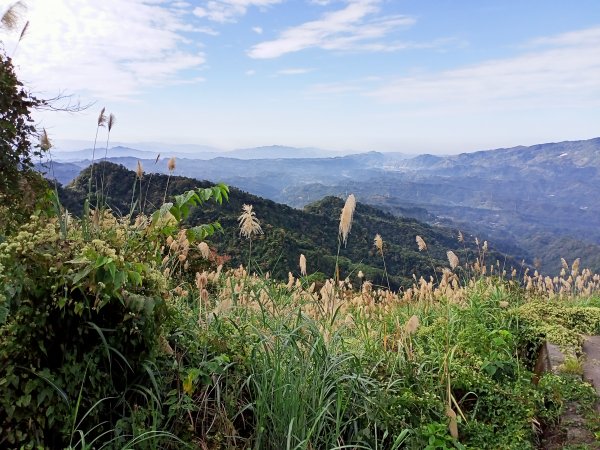 【臺灣百大必訪步道】苗栗馬那邦山登山步道1207732