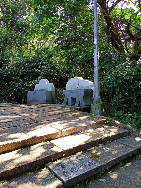 【南山神壽任務尋寶趣】國際化的象山親山步道1596471