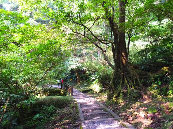 桃園東眼山步道、親子峰步道170525