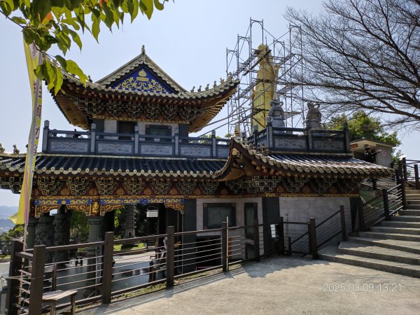 20250309 南觀音山步道 & 青春嶺2731490