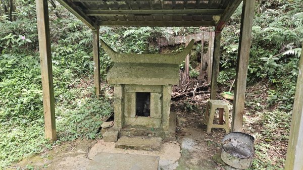 20250625遠望坑口-遠望坑崙-176峰-陸軍路礦864-遠望坑山O型2826167