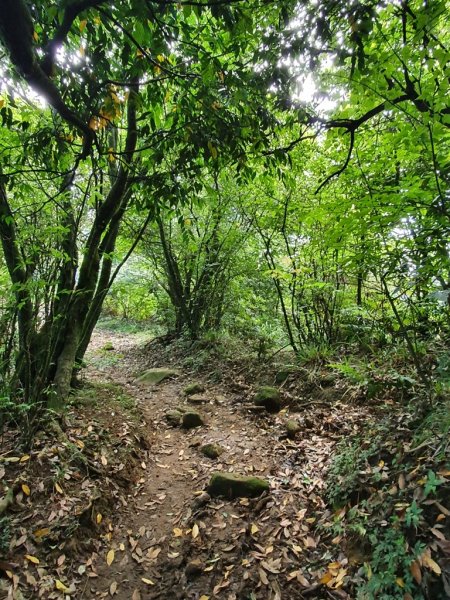 【擎天崗】探訪百名山-磺嘴山1385699