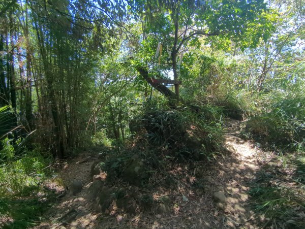 2025.09.21－微笑山線：【鳶山山系】鳶山彩壁段2898707