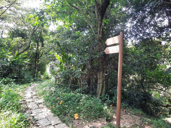 圓通寺烘爐地登山步道1425394