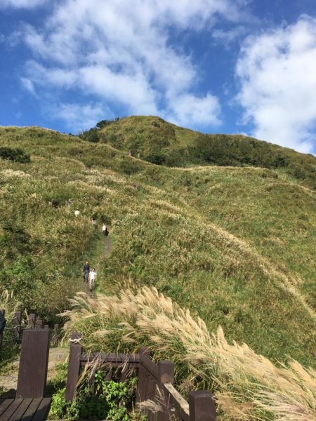 七星山主峰小白岳這個時節欣賞芒花季封面