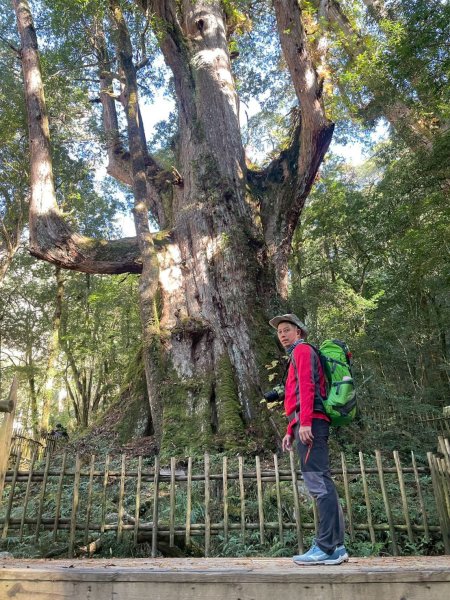 20260104司馬庫斯 &巨木群攀登2978846