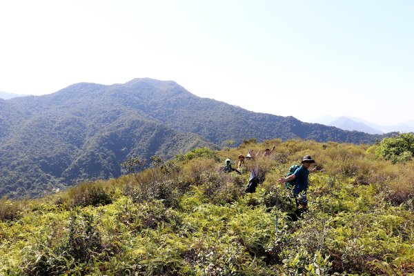 HK - 白燕岩1661216