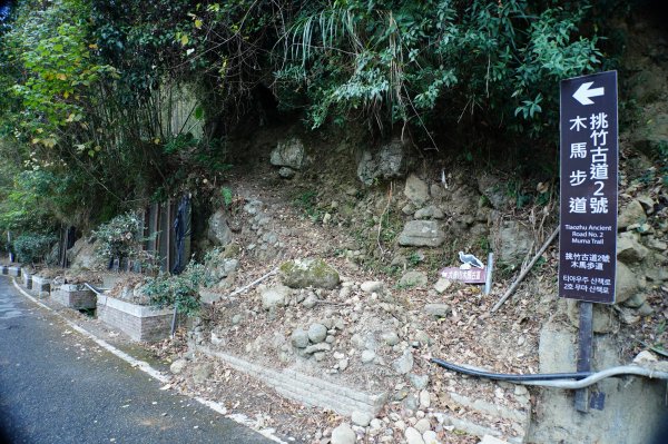 南投 鹿谷 大崙頭山、貓冬望山、樟空倫山、志騰山、竹崙山2993332