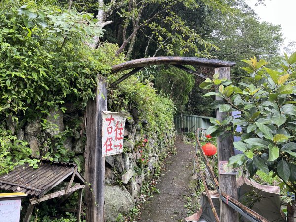 [皮皮獅探險隊-08/10] 2025_0719 李崠山步道2842962