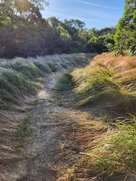 114/1/4國境之南：恆春大縱走2687256