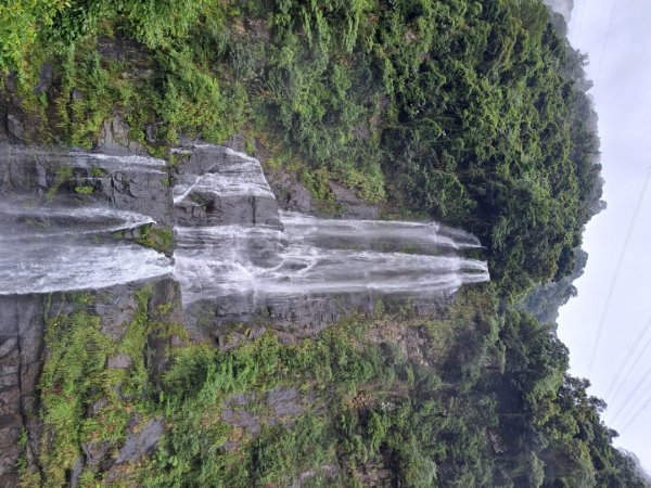 新北內洞國家森林遊樂區步道3106137