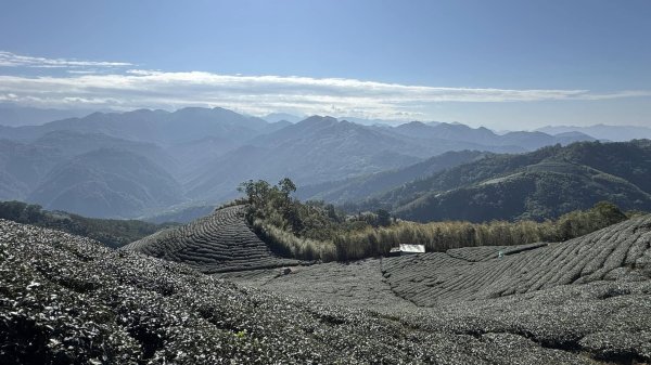 20250124小百岳 梨仔腳山及大尖山2703369