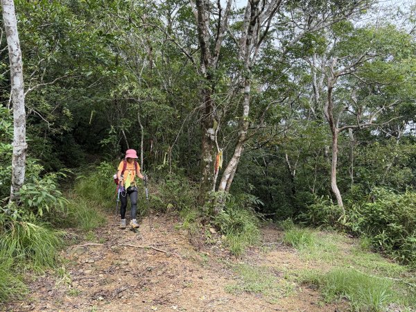 加奈美山 (開車富南上至2K水泥路尾起登)202609063118761