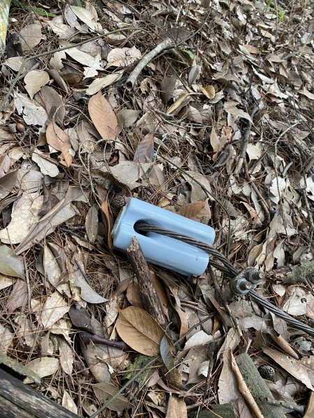 谷關七雄-波津加山1104265