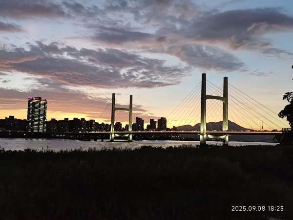 【臺北大縱走 8】萬壽橋頭(木柵)公車站→捷運關渡站［河濱自行車道］2882010