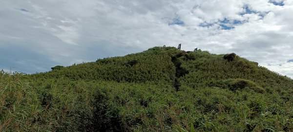 20230729_七星山主峰東峰步道2234447