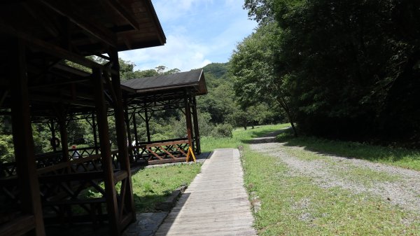 福山植物園登山健行趣(步道)2269335