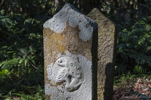 [台北]紗帽山2956594