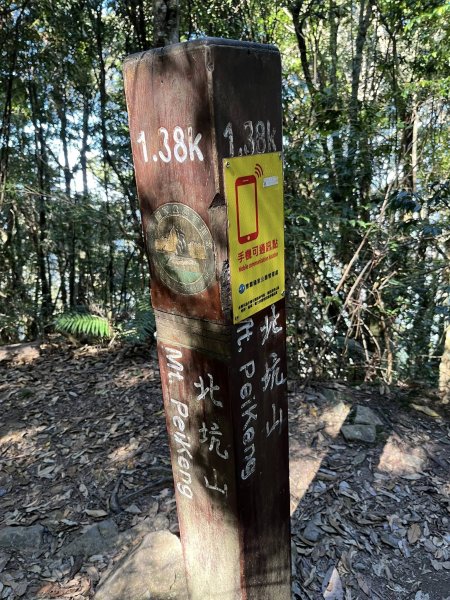 雪見大板根2959291