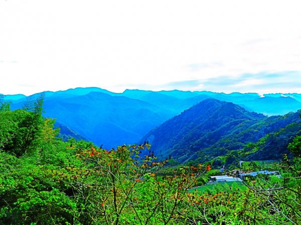 阿里山尋石山，五彩繽紛的石山引水道792483