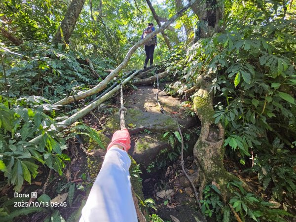 復興三尖老么之那結山1520m(嘎色鬧上)全紀錄2915476