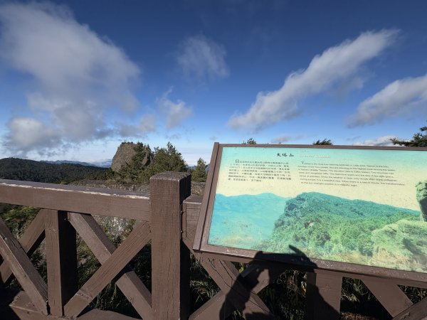 20251225塔山步道(大塔山)2970421