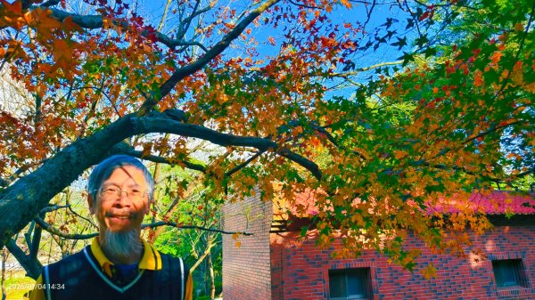 #花卉試驗中心 #永公路500巷 #平菁街42巷 #原住民公園 #士林官邸 1/42976637