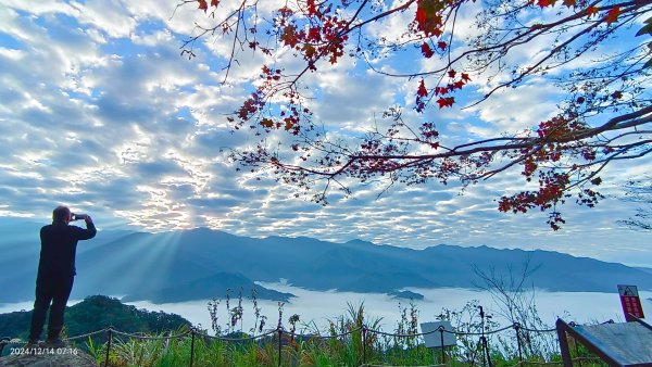 二訪馬拉邦山，解鎖 #琉璃光雲海 #日出雲海  #血月 #斜射光 #楓葉紅了！2668617