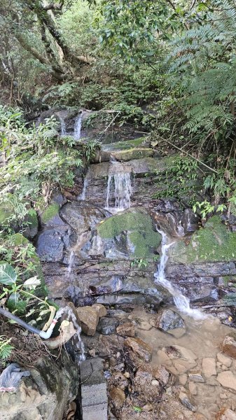 20251123大湖坑步道-詹公厝2942923