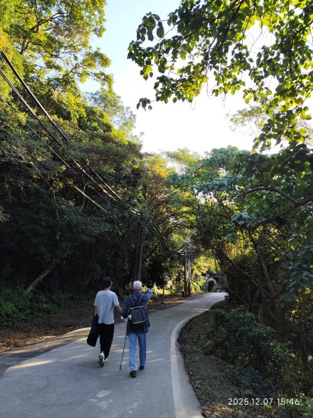 【臺北大縱走 5】碧山巖→忠勇山越嶺步道→金龍產業道路→圓明寺步道→鄭成功廟→潛園→格物台→劍潭古寺2958953