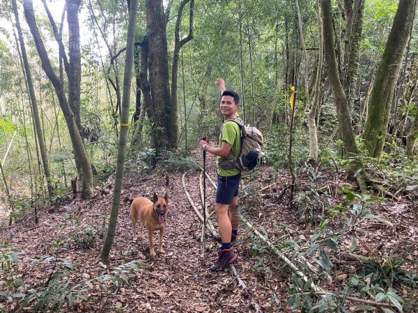 南東眼山.夢谷瀑布【好像是中級山探勘路線的荒山野嶺】2630625