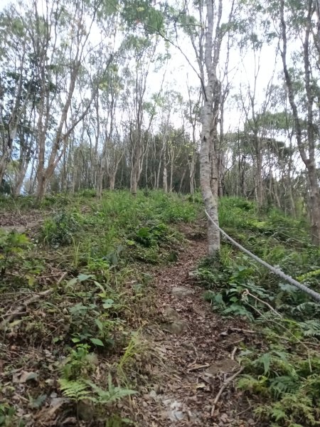 枕頭山-枕頭山西峰2733957