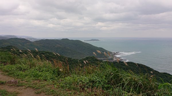 20221218基隆 海興森林步道(跟隨在地正妹的腳步)1956672