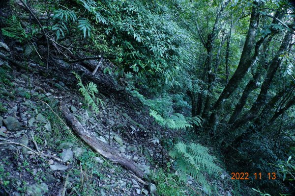 南投 仁愛 再生山(安達山)1913692