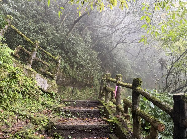 [微笑山線_第八段] 2026_0321 二格山系_二格山3020921