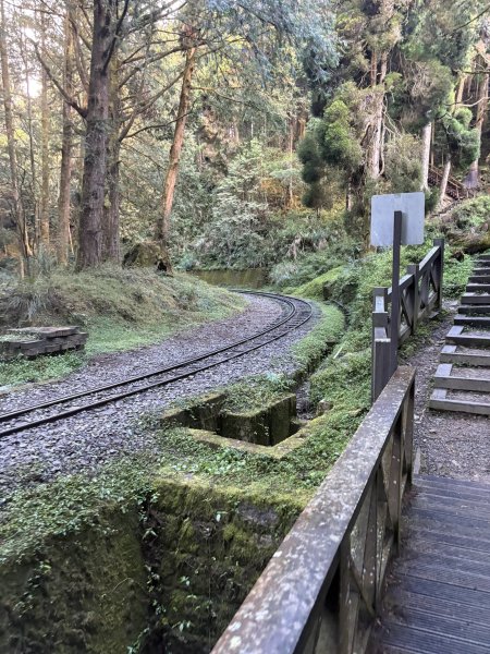 20251225塔山步道(大塔山)2970292